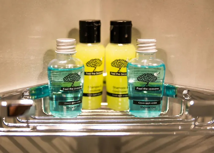 公寓式酒店 圣乔吉奥酒店 费拉